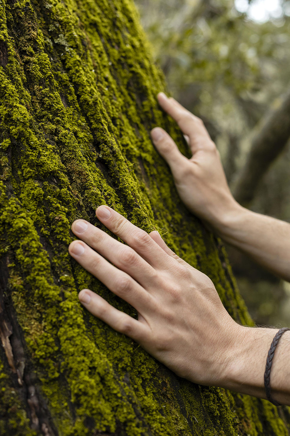 Manos apoyadas sobre un tronco cubierto de musgo en un entorno natural, transmitiendo conexión con la naturaleza.